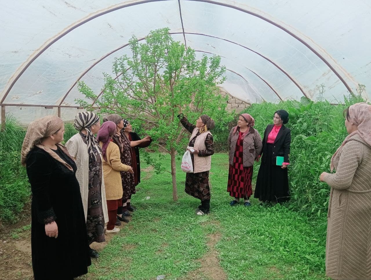 Ayollar bandligini ta’minlashga qaratilgan amaliy seminar