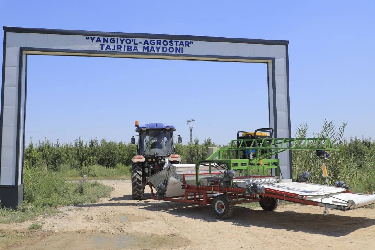 Sirdaryo tumanida quritilgan pomidor ishlab chiqarishda zamonaviy texnologiyalar joriy etilmoqda