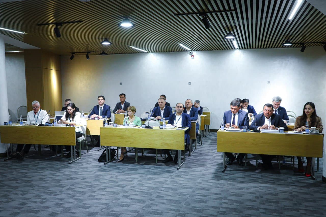 В Комитете по туризму рассмотрели мировой опыт создания международных горнолыжных курортов