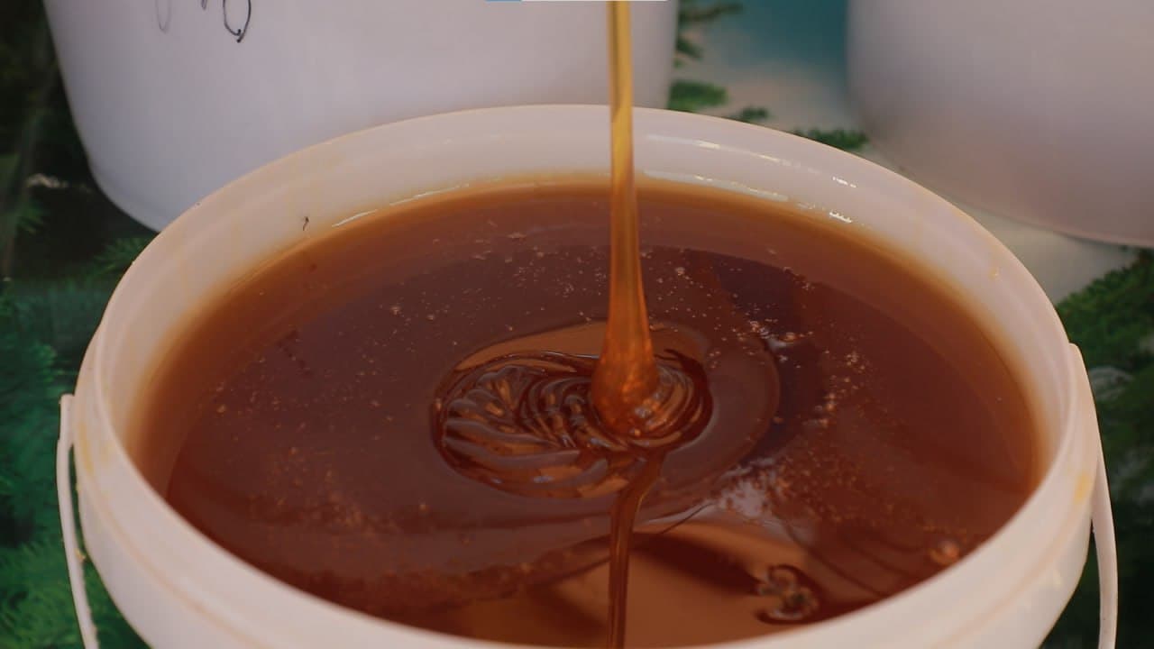 В Намангане стартовал IV Международный фестиваль меда