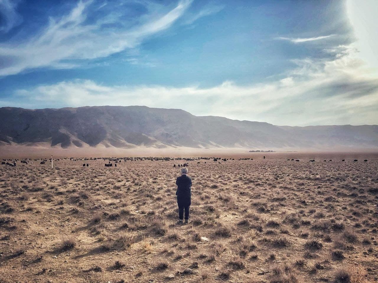 Творческая группа итальянского телеканала “Rai 3” в Узбекистане