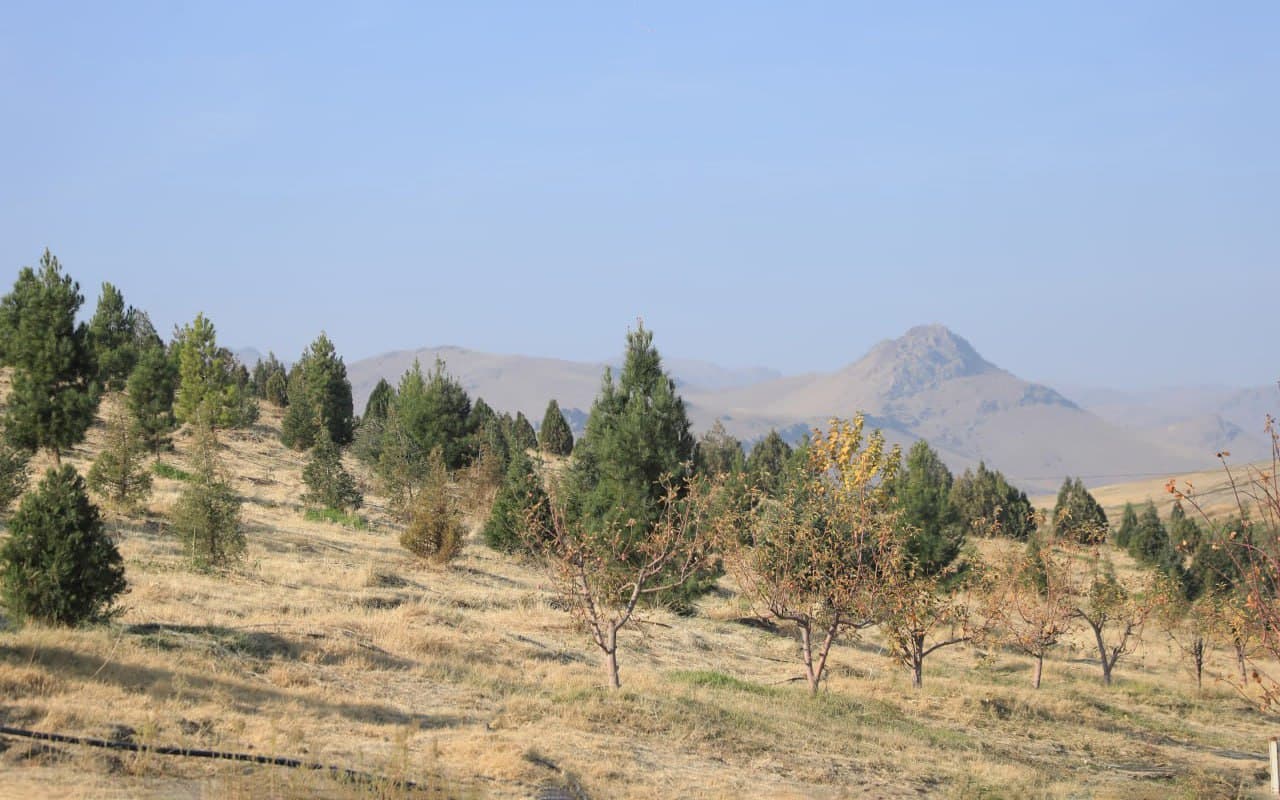 В Джизаке введён в эксплуатацию новый туристический комплекс