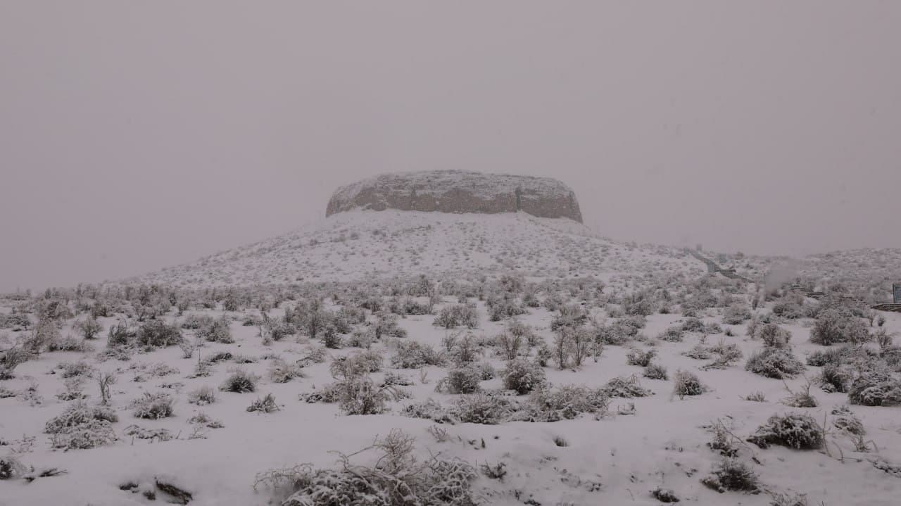 В Республике Каракалпакстан изучены проекты, направленные на развитие туризма