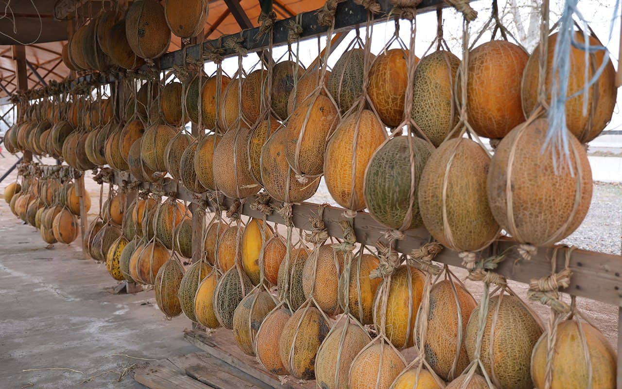 Respublika ishchi guruh Sirdaryodagi yangi turizm loyihalari bilan tanishdi