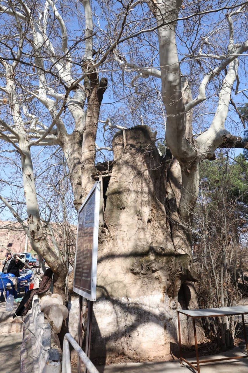 В Сурхандарьинской области ведётся масштабная работа по повышению туристического потенциала