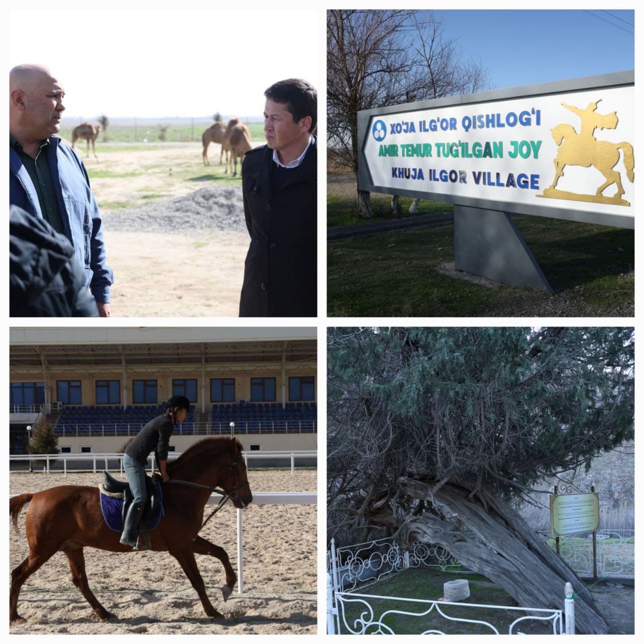 The Republican working group reviewed projects aimed at enhancing the tourism potential of Kashkadarya Region