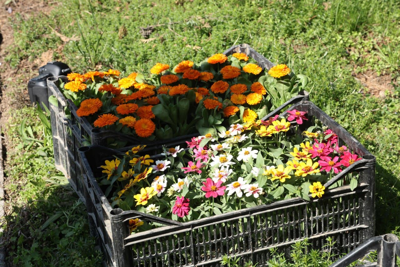 В Комитете по туризму прошел общенародный благотворительный хашар