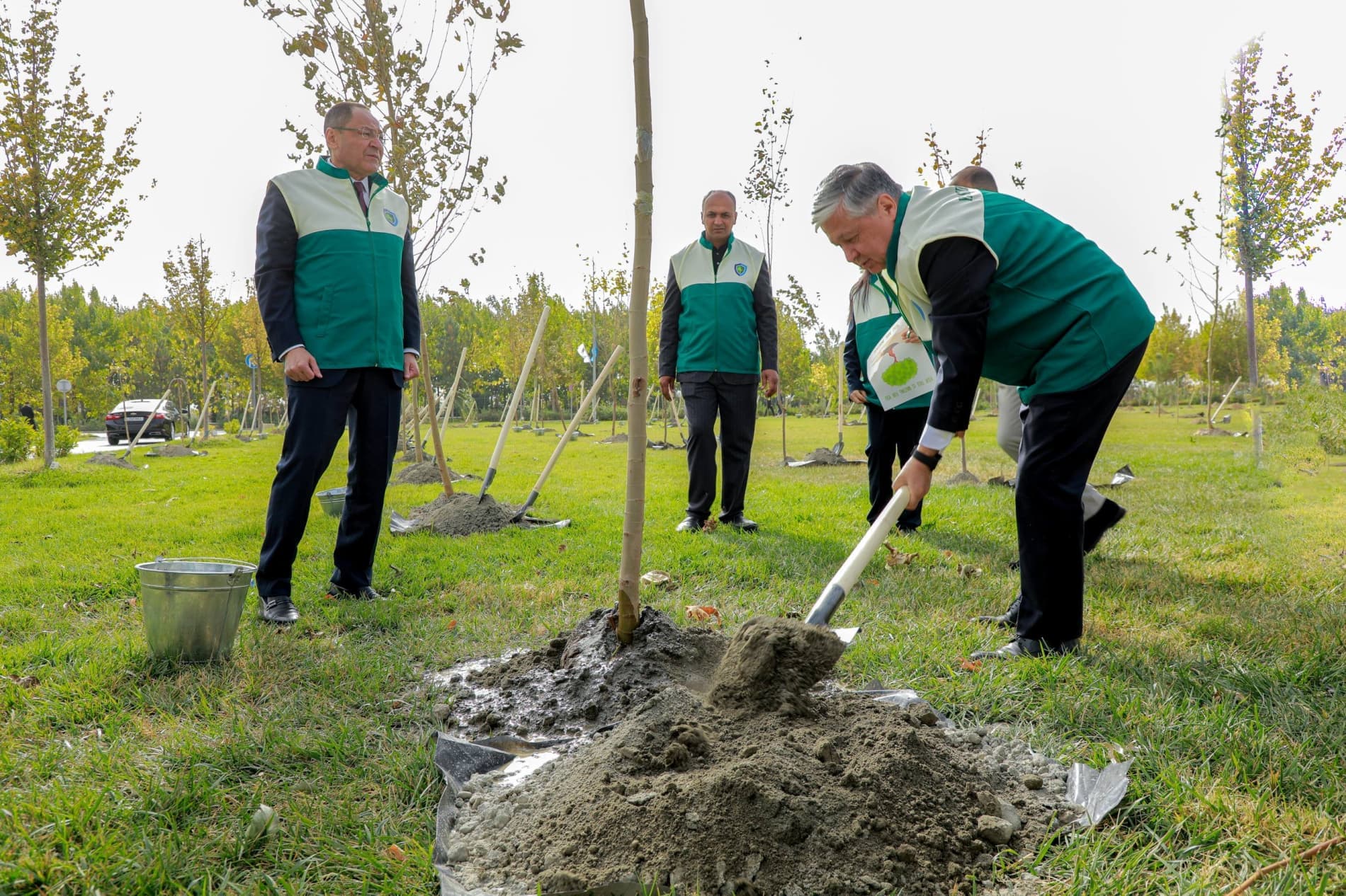 Green gardens are being established dedicated to UNESCO's 80th anniversary