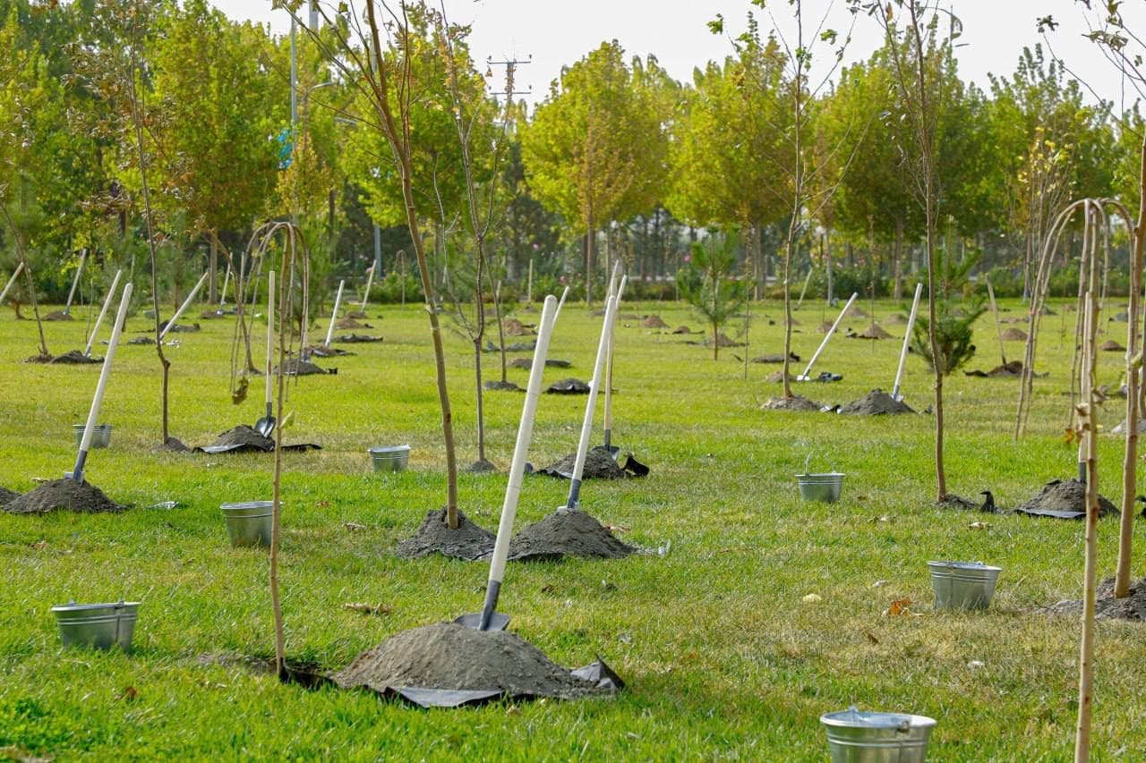 Green gardens are being established dedicated to UNESCO's 80th anniversary