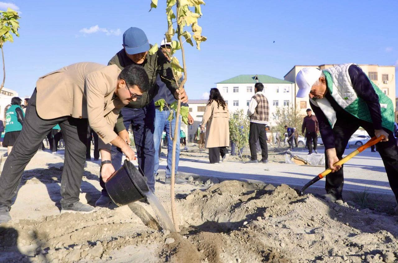 The "Green Garden" project has been implemented across the regions of the Republic