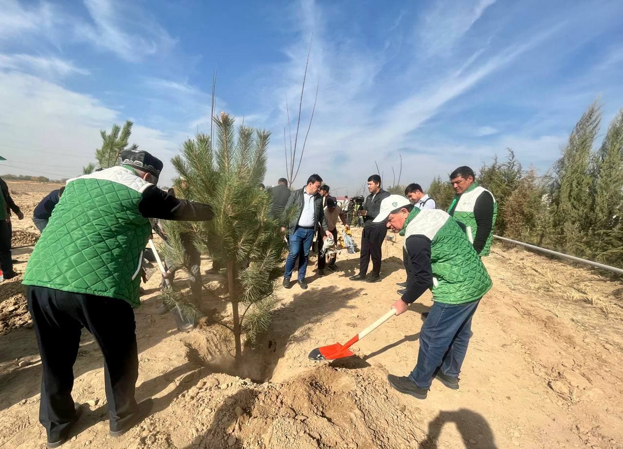 The "Green Garden" project has been implemented across the regions of the Republic