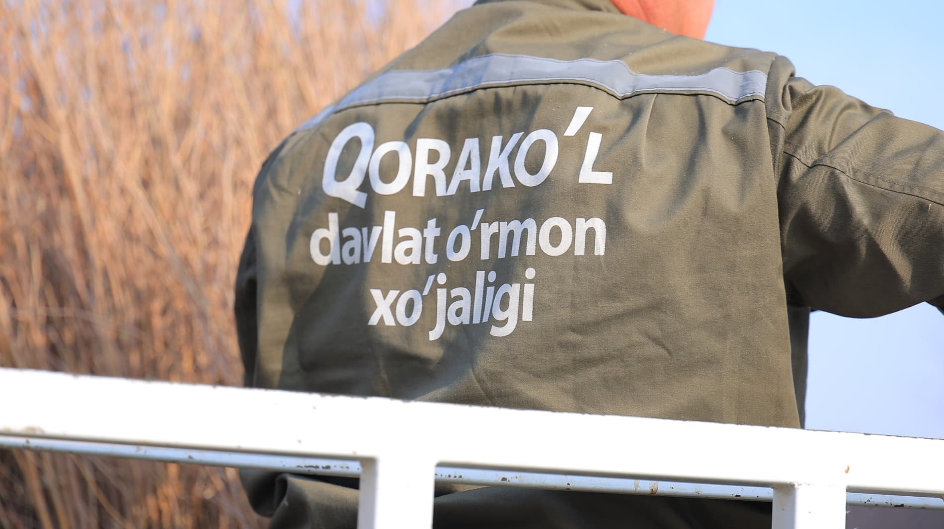 High-quality seedlings from Korakol are being delivered across the region