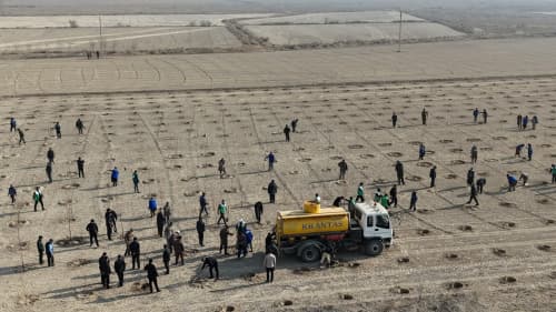 Shofirkonda “Yashil makon” umummilliy loyihasi doirasida keng ko‘lamli ko‘kalamzorlashtirish ishlari davom etmoqda