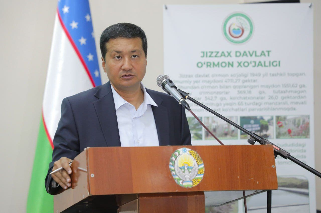 Issues of Expanding Forest Areas Were Discussed in Uzbekistan