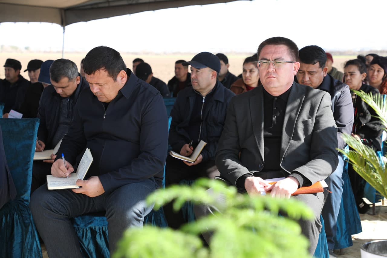 Термиз туманида 10 гектар тутзор аҳолига бўлиб берилди