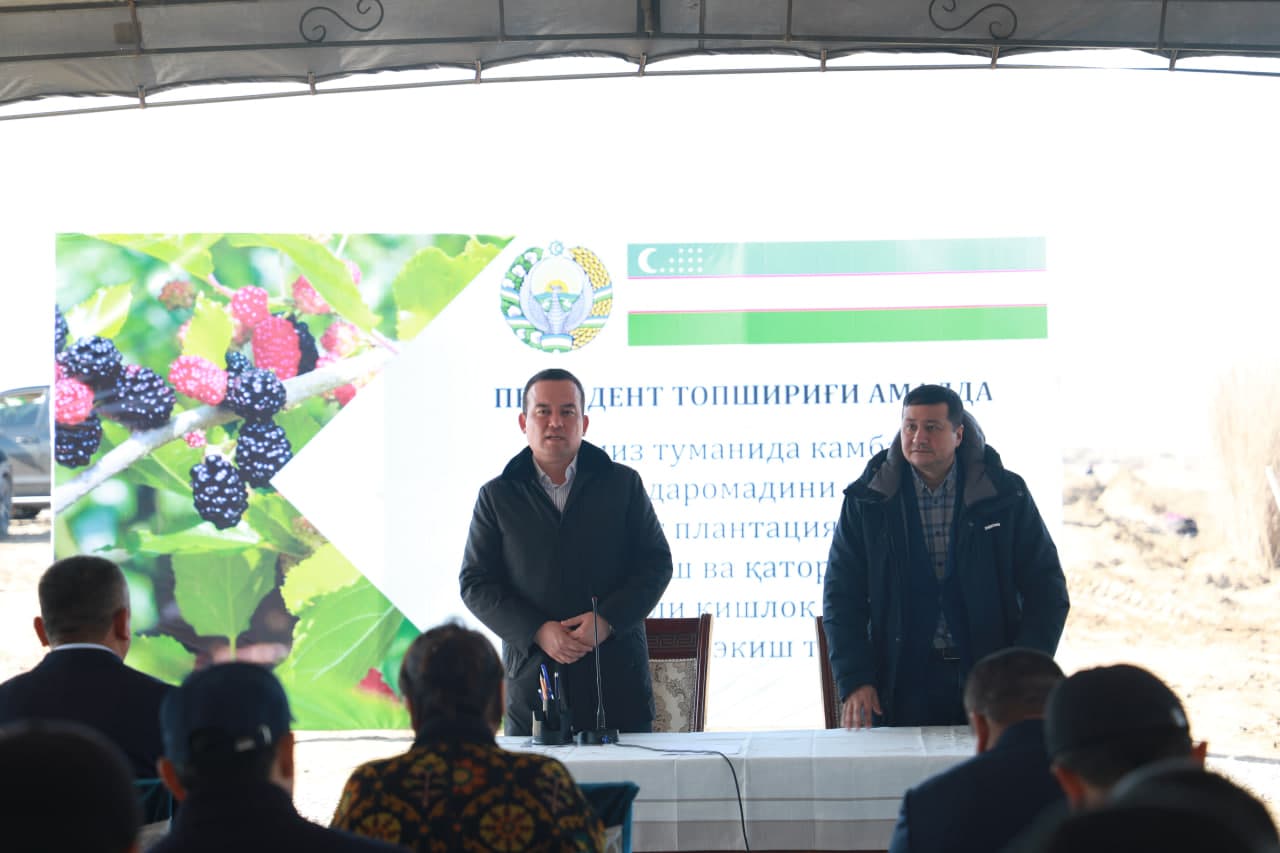 Термиз туманида 10 гектар тутзор аҳолига бўлиб берилди