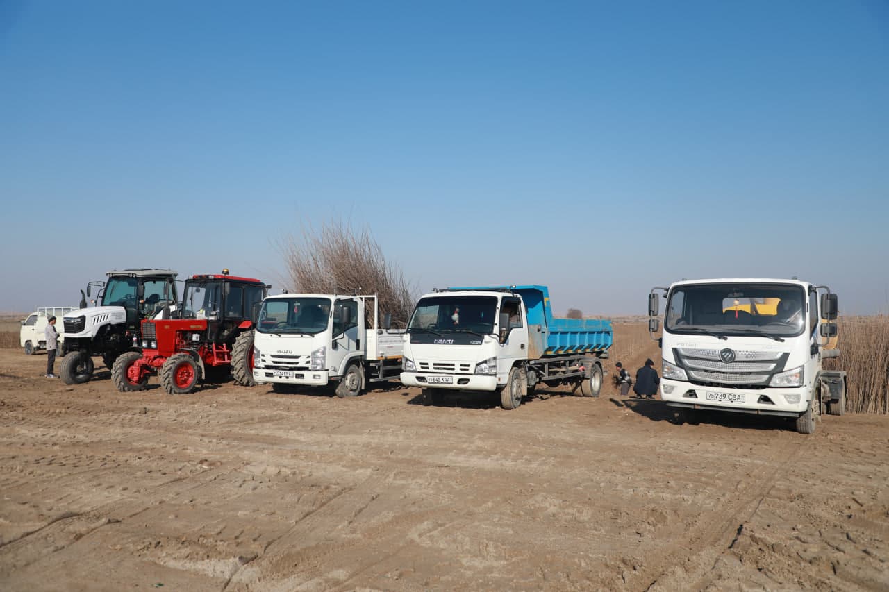 Термиз туманида 10 гектар тутзор аҳолига бўлиб берилди