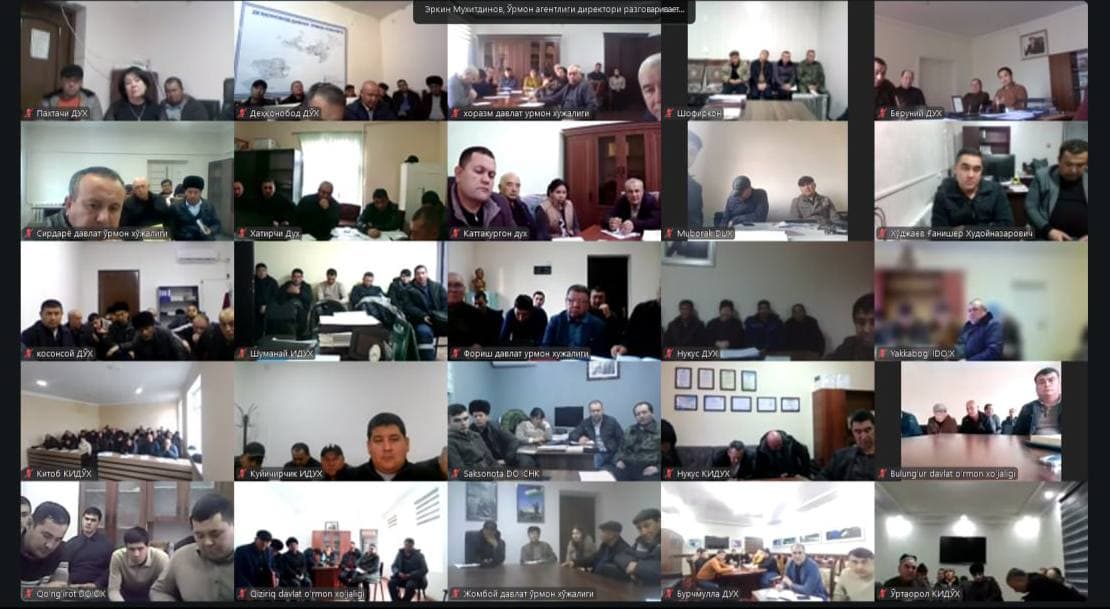 Future tasks to be implemented in the forestry sector have been defined