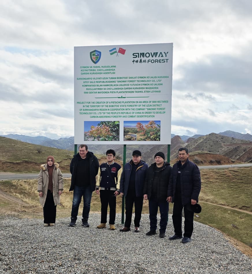 Сурхондарёда оърмон хўжалиги соҳасига оид янги лойиҳага старт берилди