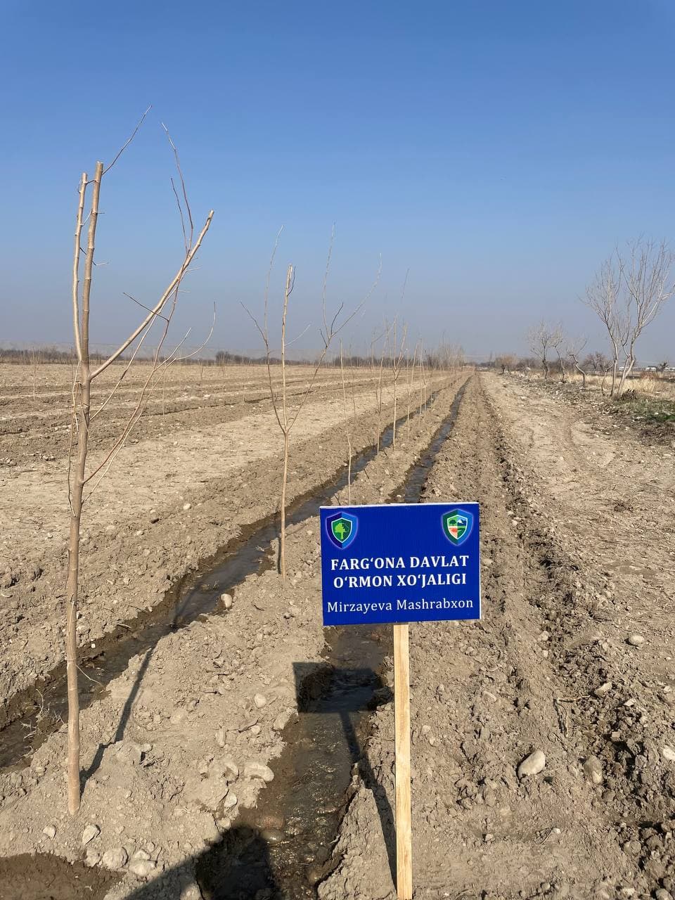 Фарғонада эҳтиёжманд оилалар даромади янада оширилмоқда