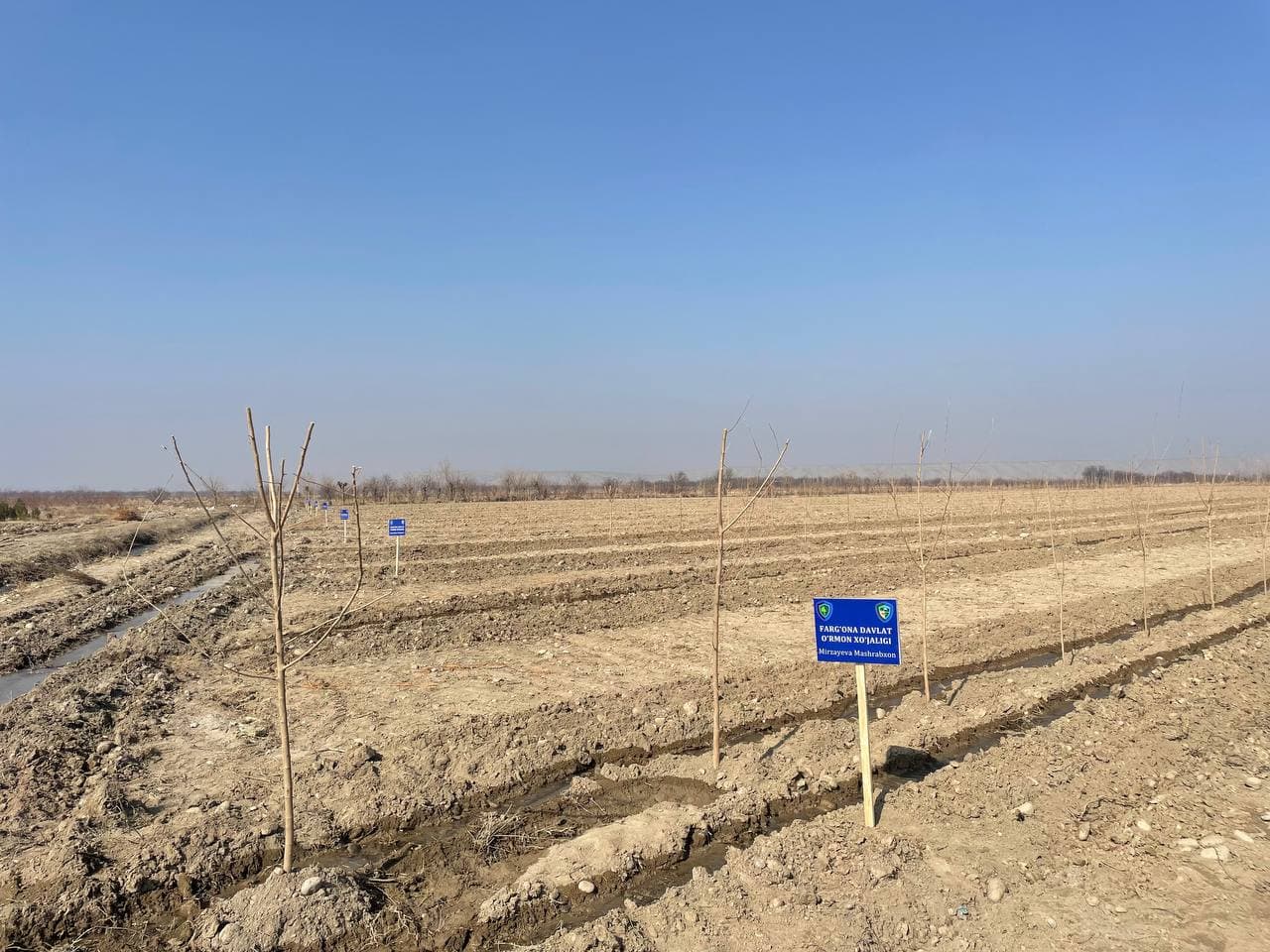 Фарғонада эҳтиёжманд оилалар даромади янада оширилмоқда