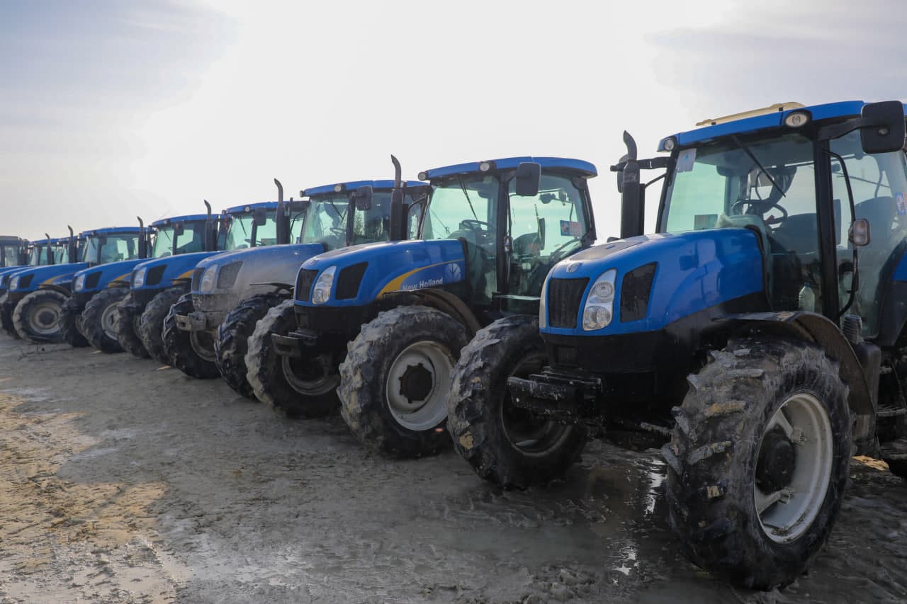 Orolning qurigan tubida cho‘l o‘simliklari ekish tadbirlari boshlandi