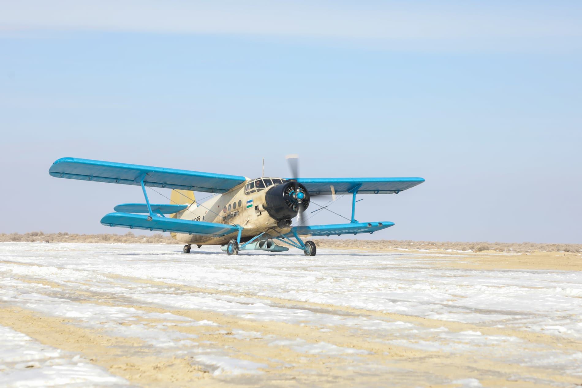 Orolning qurigan tubida cho‘l o‘simliklari ekish tadbirlari boshlandi