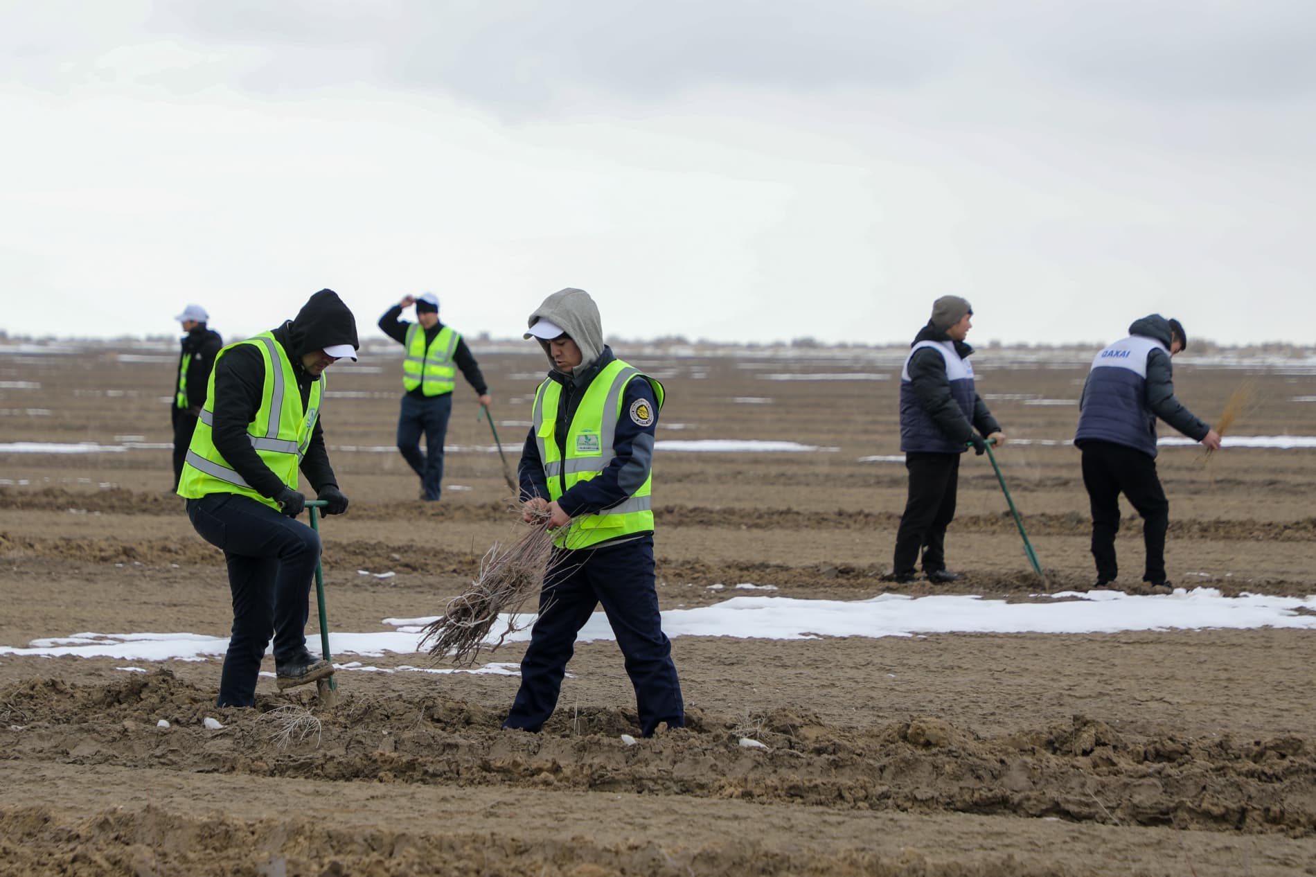 Orolning qurigan tubida cho‘l o‘simliklari ekish tadbirlari boshlandi
