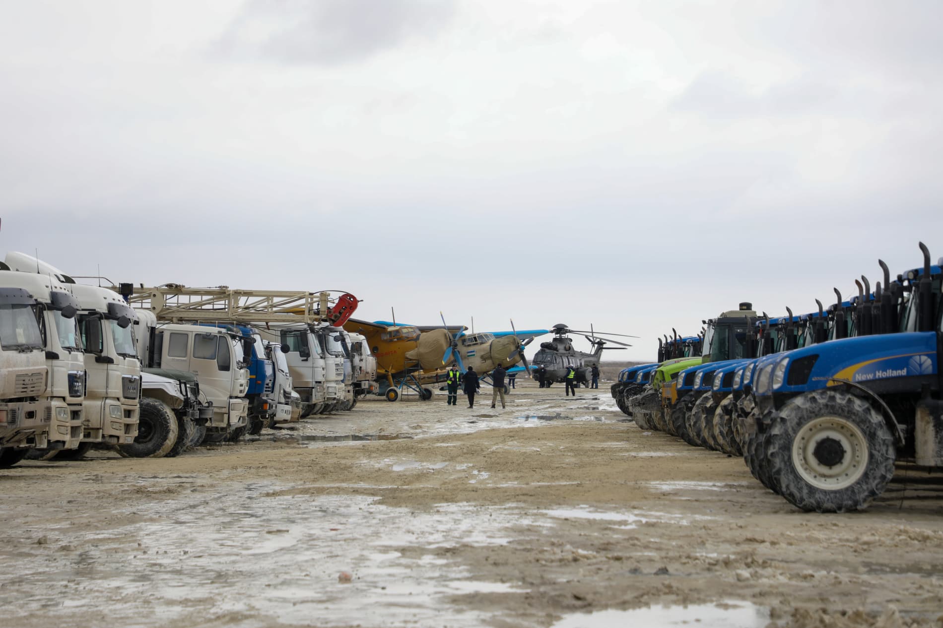 Orolning qurigan tubida cho‘l o‘simliklari ekish tadbirlari boshlandi
