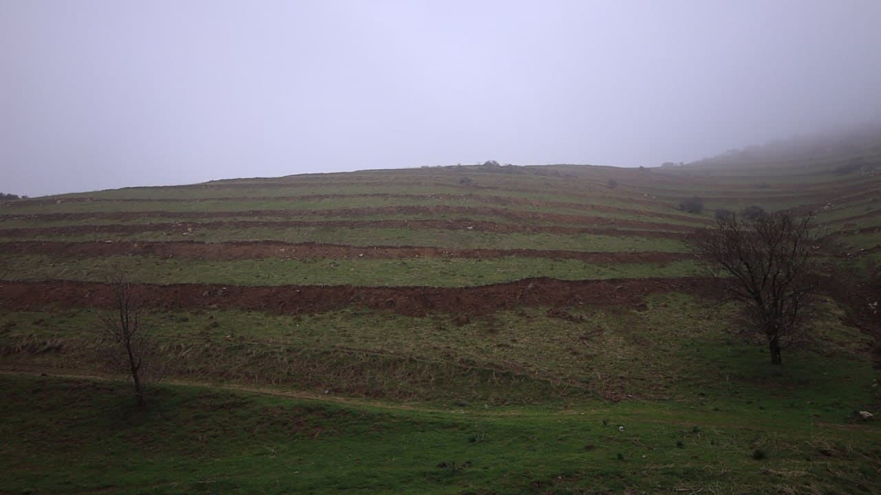 Представители Всемирного банка ознакомились с реализацией проекта по восстановлению лесных ландшафтов в Узбекистане