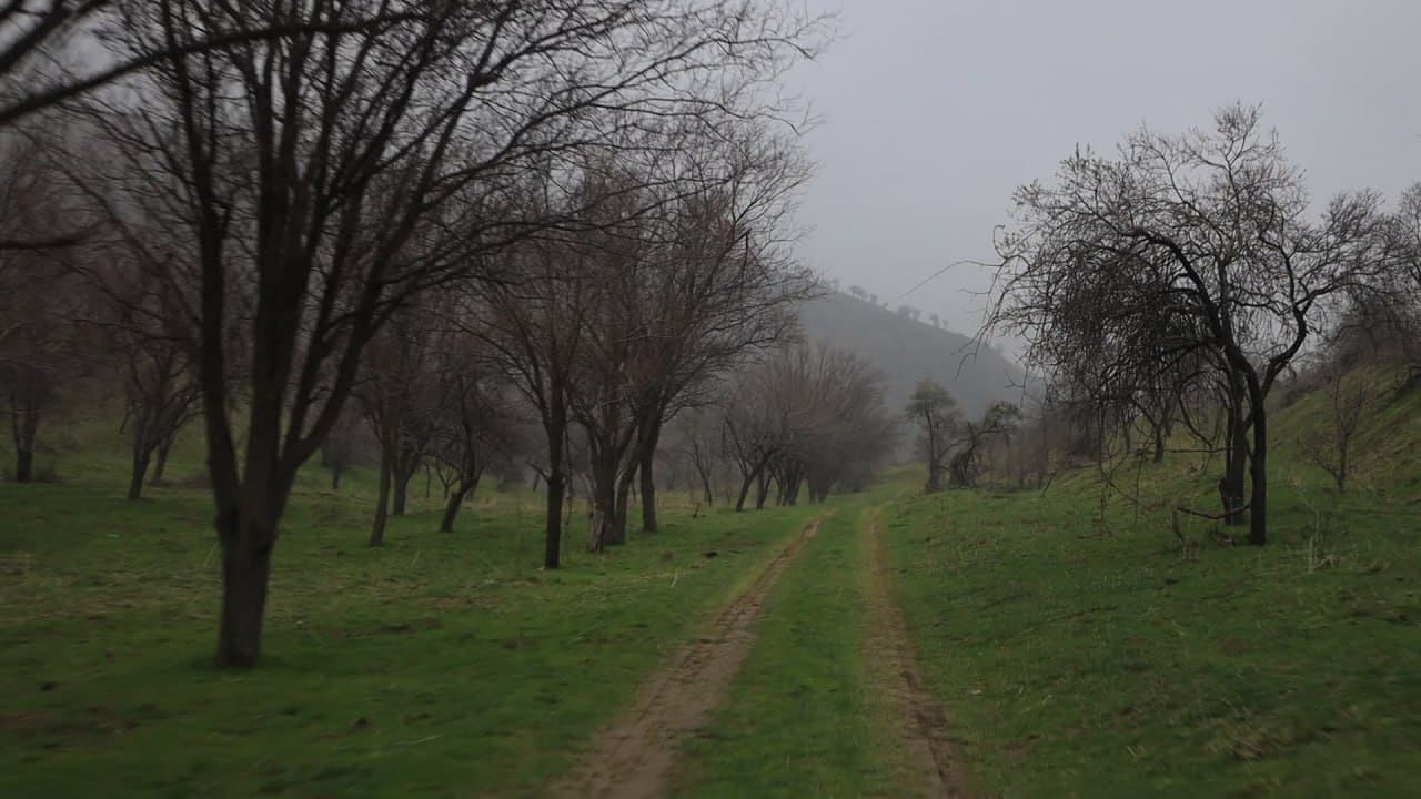 Представители Всемирного банка ознакомились с реализацией проекта по восстановлению лесных ландшафтов в Узбекистане