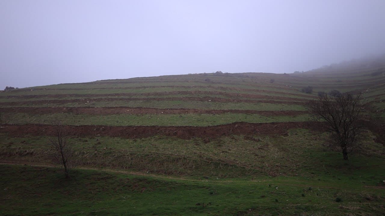 Представители Всемирного банка ознакомились с реализацией проекта по восстановлению лесных ландшафтов в Узбекистане