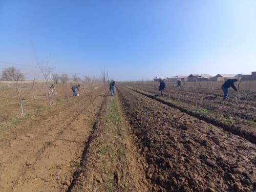 Ғаллаоролда ободонлаштириш тадбирлари давом этмоқда