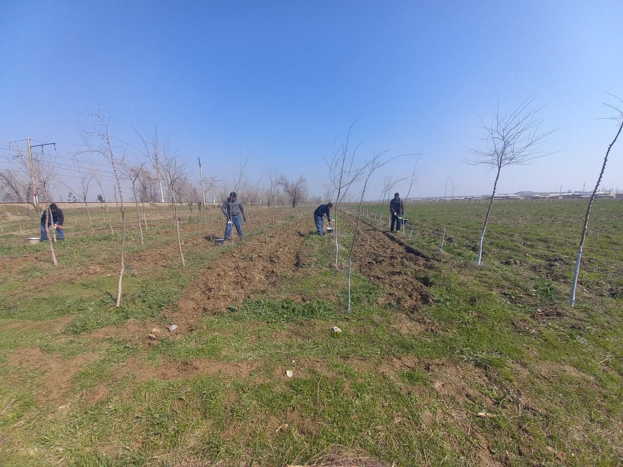 G‘allaorolda obodonlashtirish tadbirlari davom etmoqda