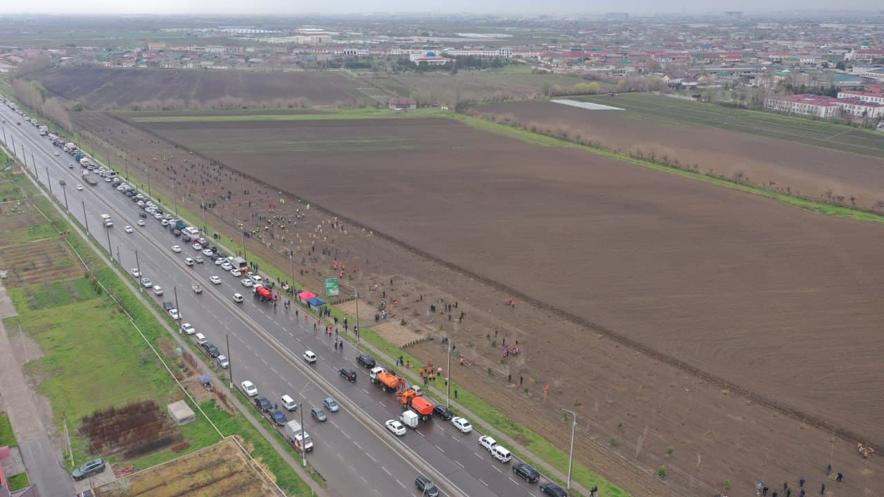 “Green belts” are being created in Tashkent city