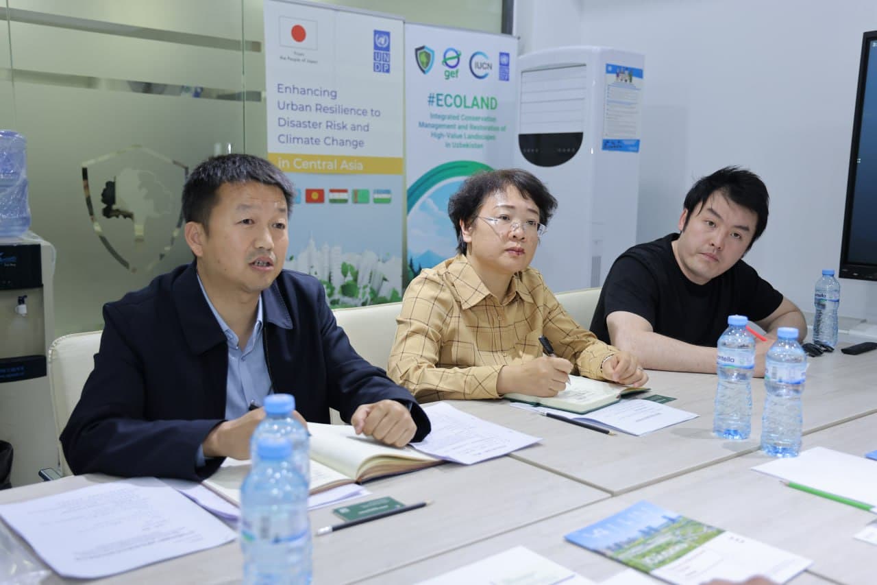 Были реализованы новые проекты по борьбе с опустыниванием