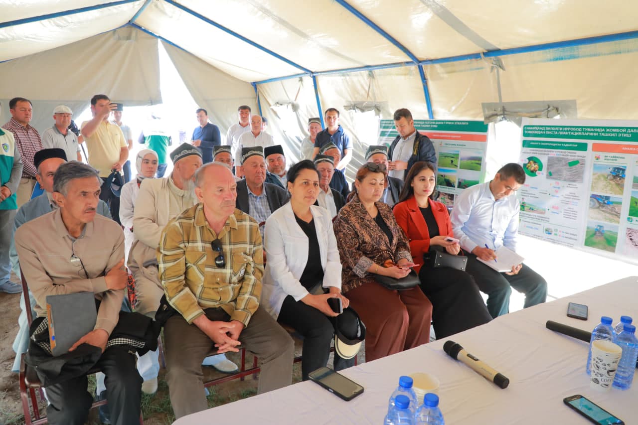 Pistachio plantations are being established in Samarkand