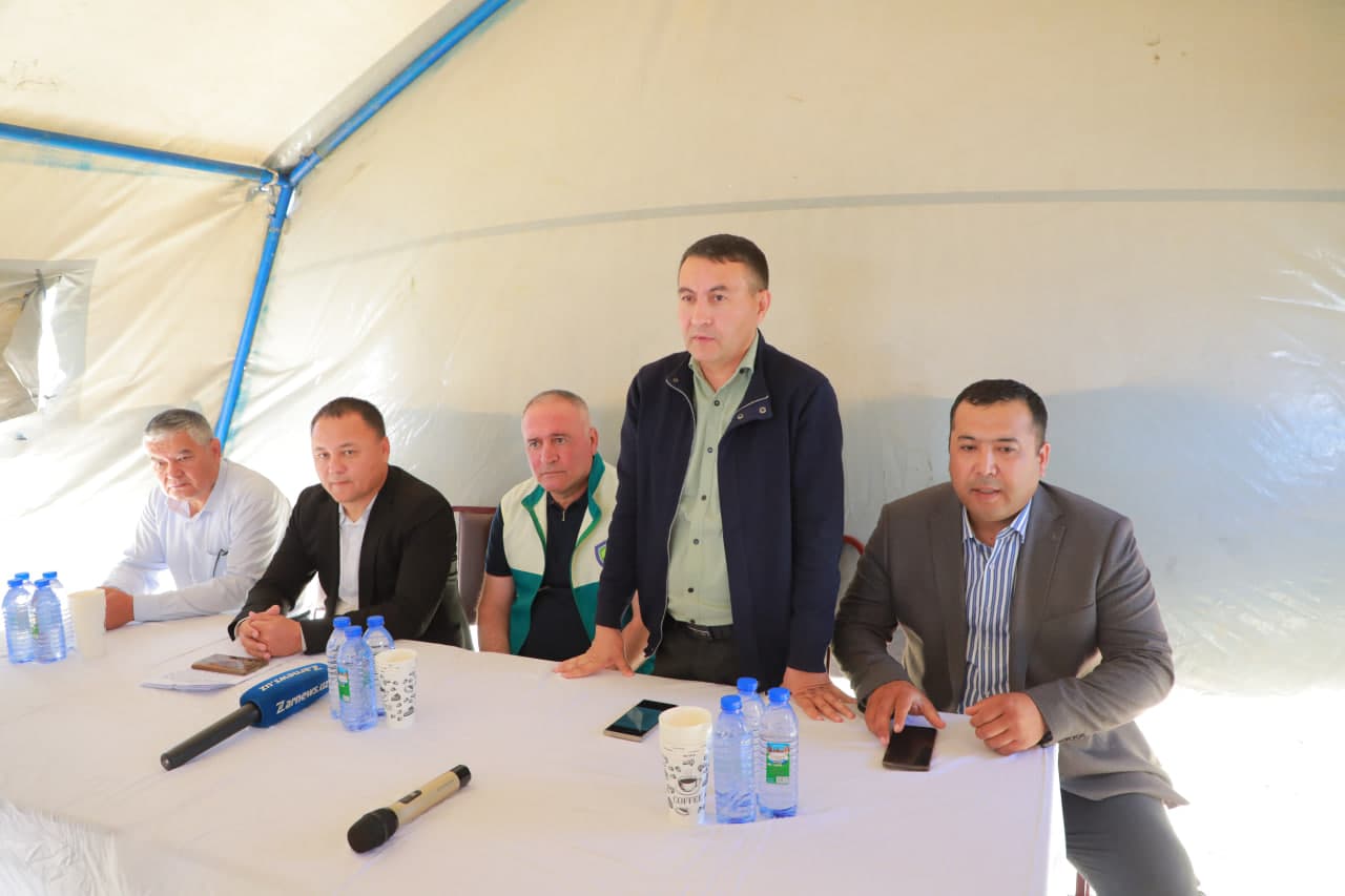 Pistachio plantations are being established in Samarkand