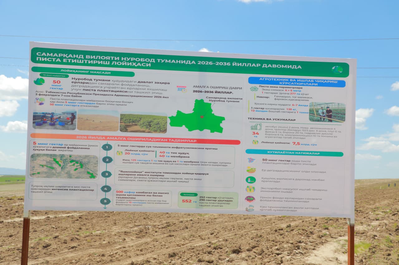 Pistachio plantations are being established in Samarkand