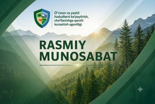 Расмий муносабат