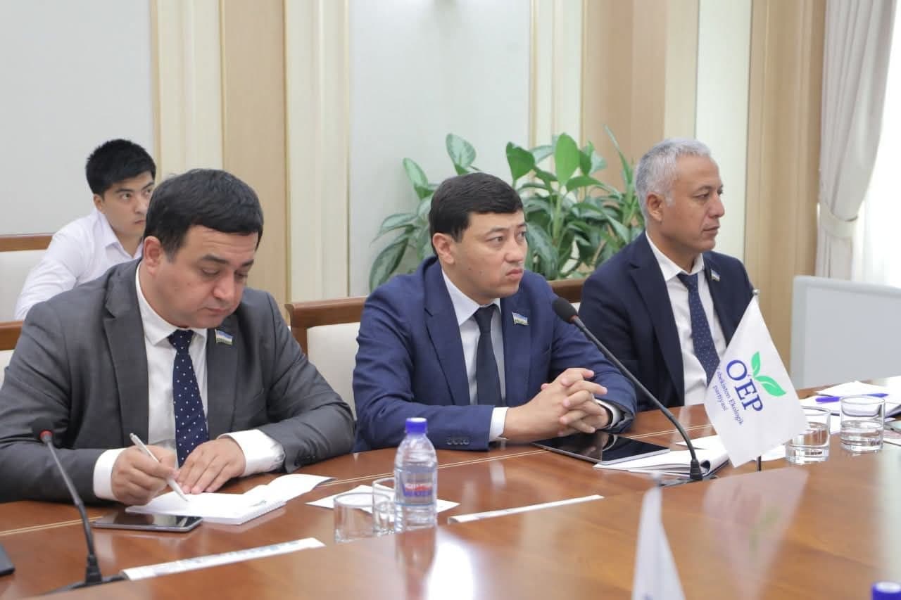 Охрана земель лесного фонда будет значительно усилена