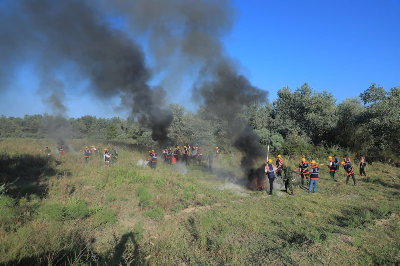 Special Tactical Exercise Conducted at Pop Specialized State Forestry Enterprise