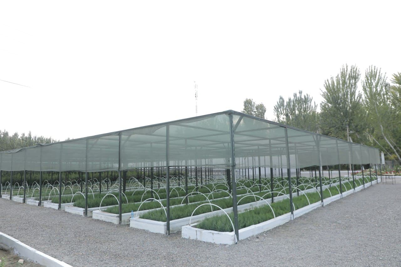Uzbekistan to Expand Modern Intensive Methods of Seedling Production