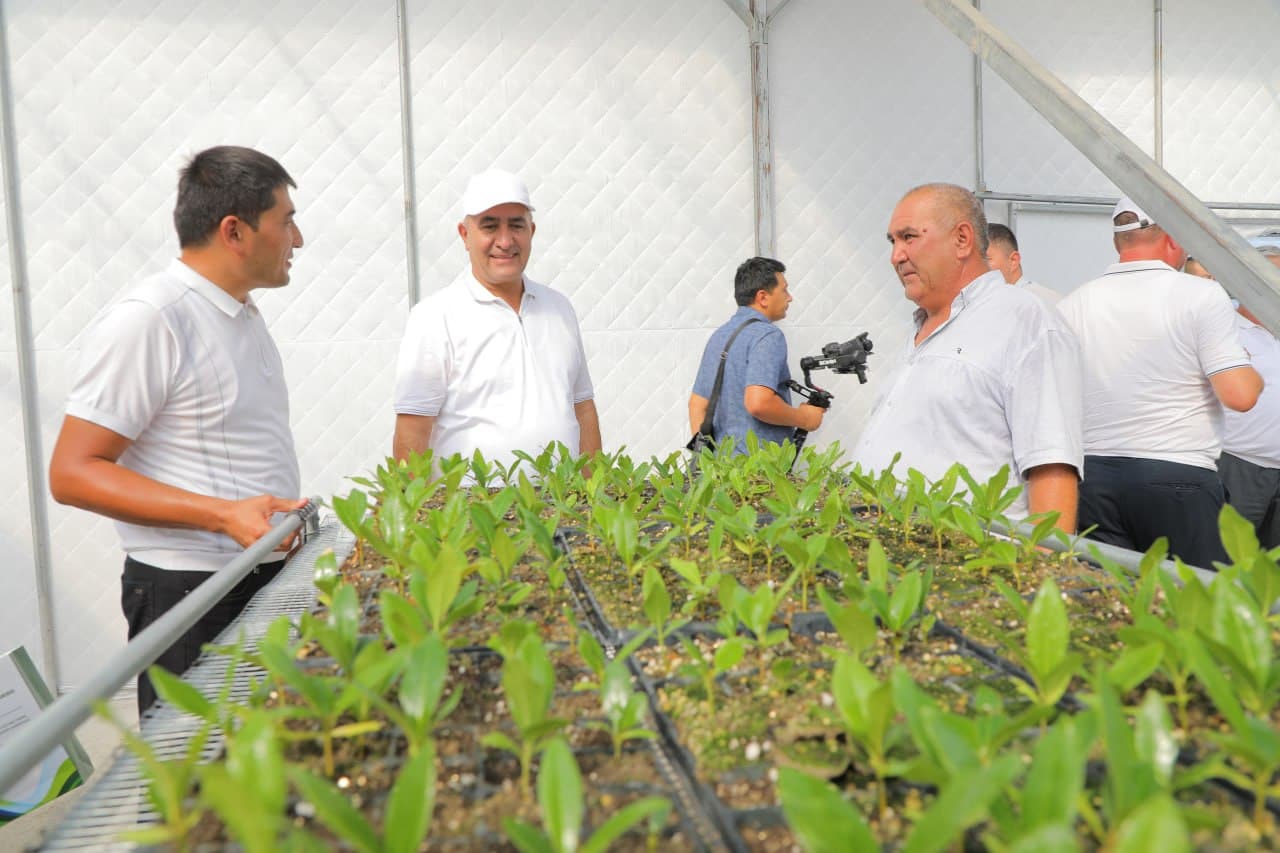 Uzbekistan to Expand Modern Intensive Methods of Seedling Production