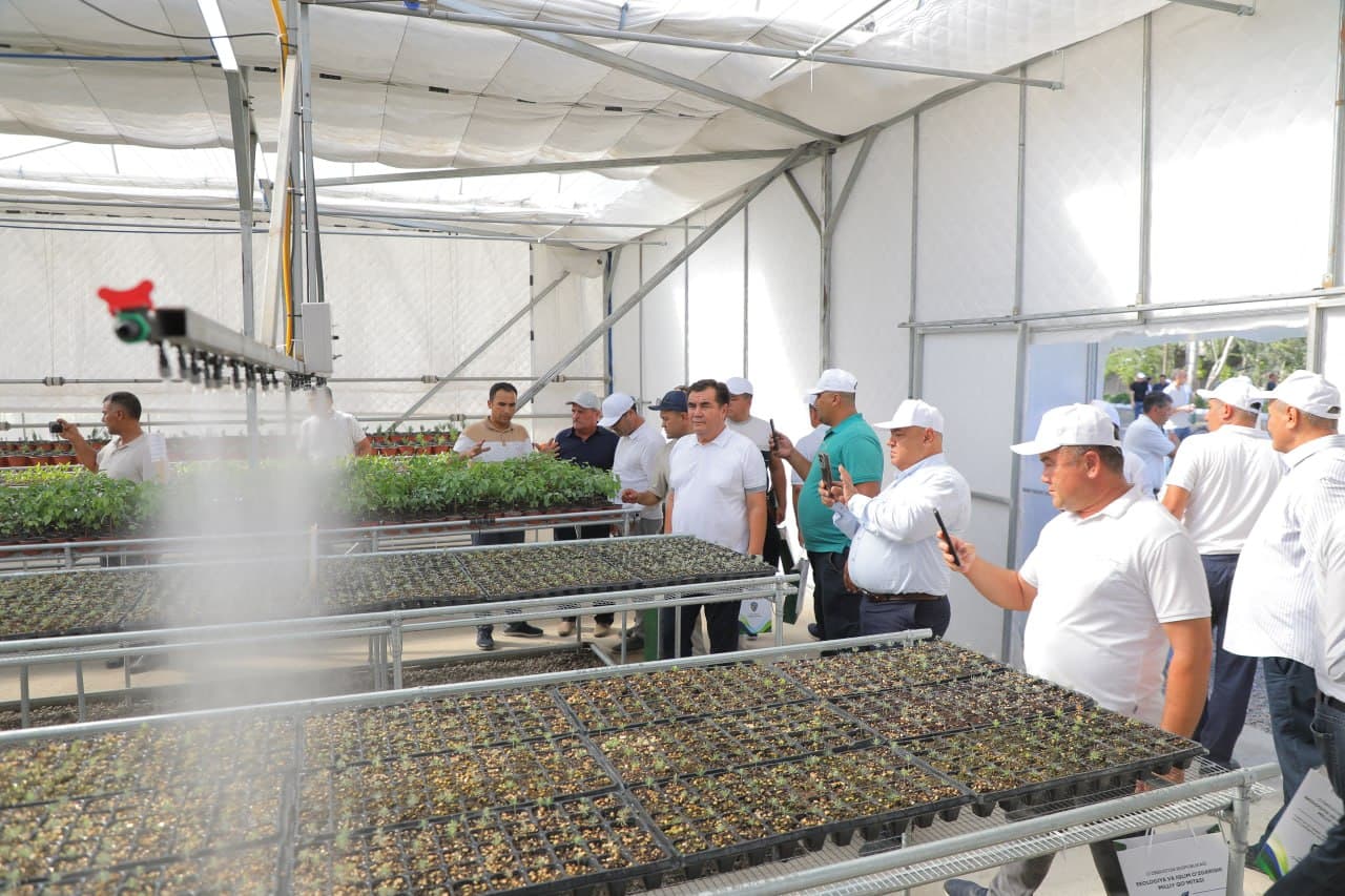 Uzbekistan to Expand Modern Intensive Methods of Seedling Production