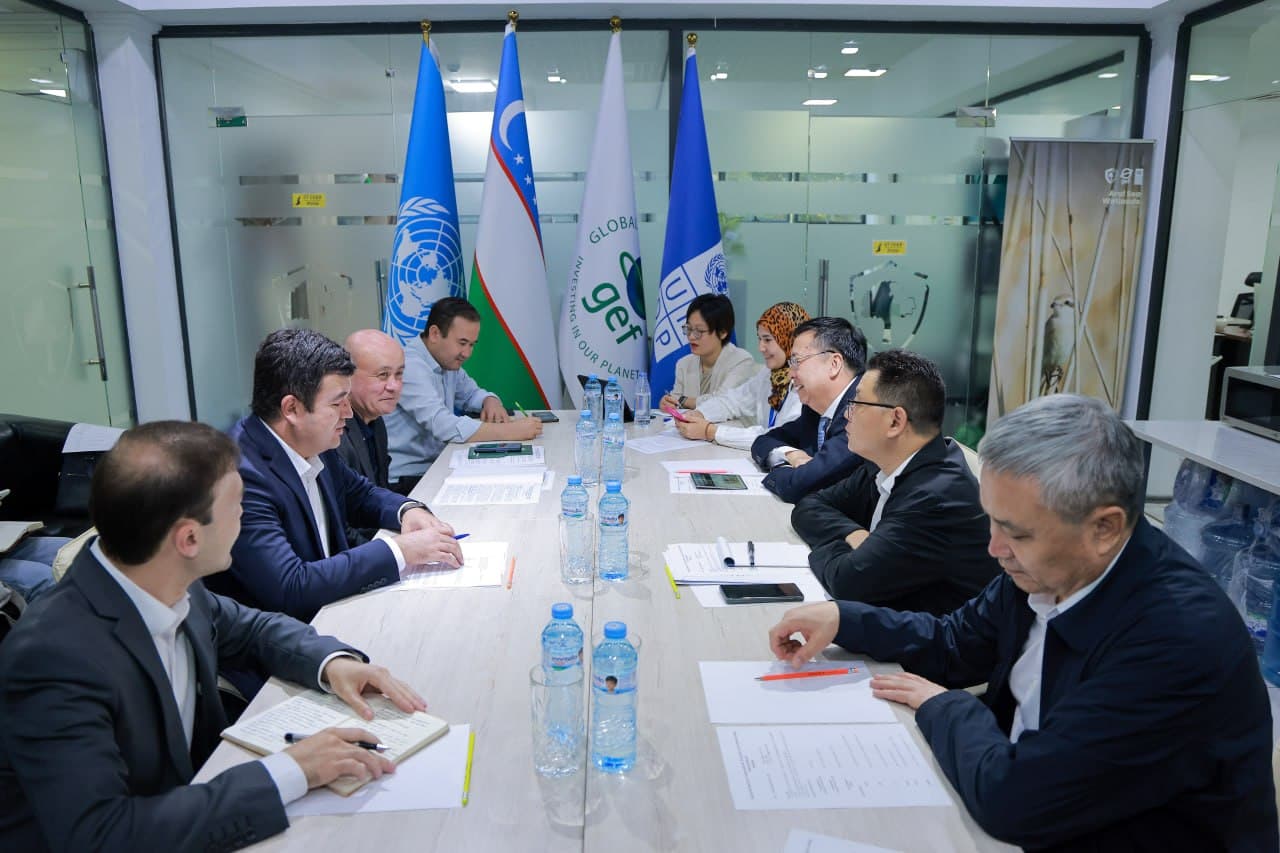 Cooperation on Forest Restoration and Desertification Prevention Is Expanding