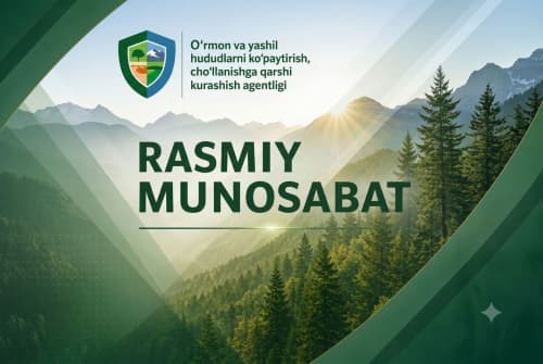 Расмий муносабат