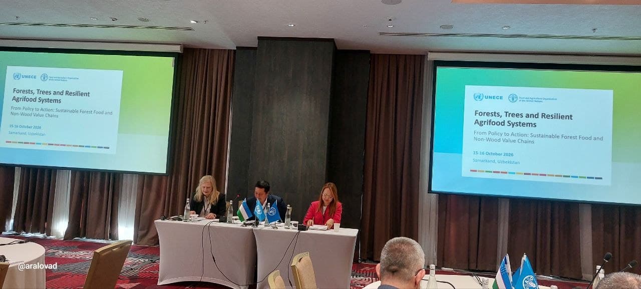 International Cooperation in Forest Product Production to Be Further Expanded