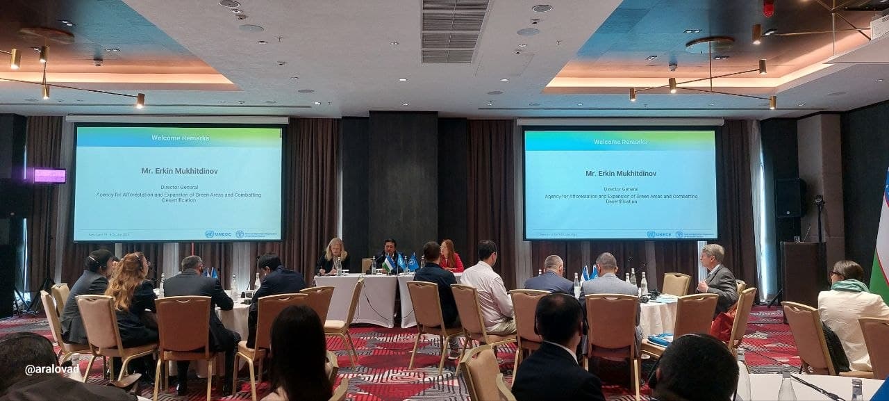 International Cooperation in Forest Product Production to Be Further Expanded