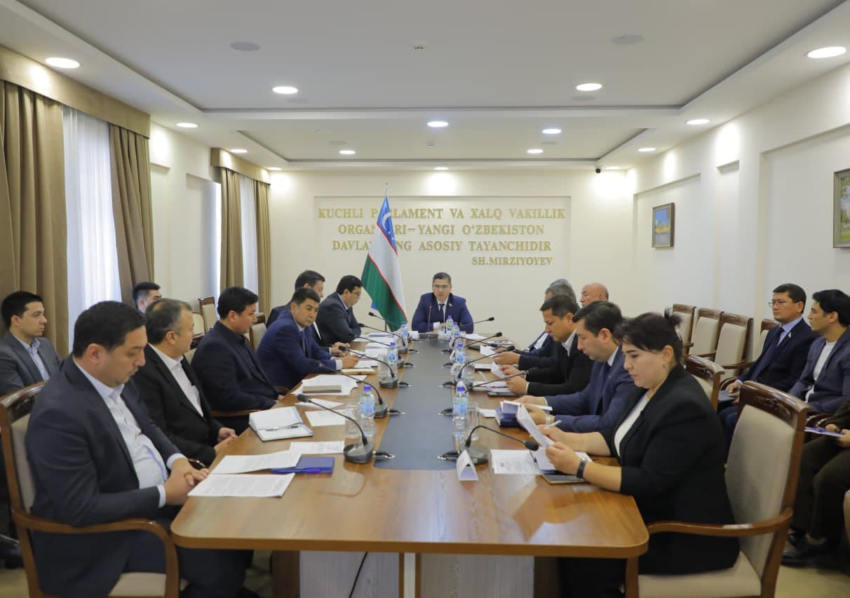 Tog‘-kon sanoati va geologiya sohasini nazorat qilish inspeksiyasining axboroti eshitildi